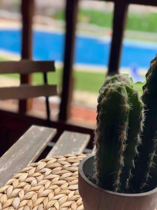 Coqueto En El Palm-mar. Apartment
